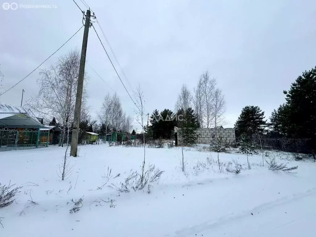 Участок в село Новоживотинное, Дорожная улица, 63 (13.6 м) - Фото 2