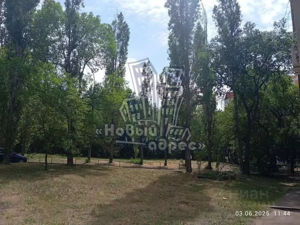 Студия Воронежская область, Воронеж Южно-Моравская ул., 35 (13.0 м) - Фото 2