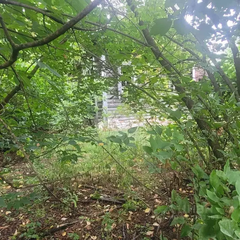 Участок в Владимирская область, Муром д. Нежиловка, ул. Пригородная, ... - Фото 0