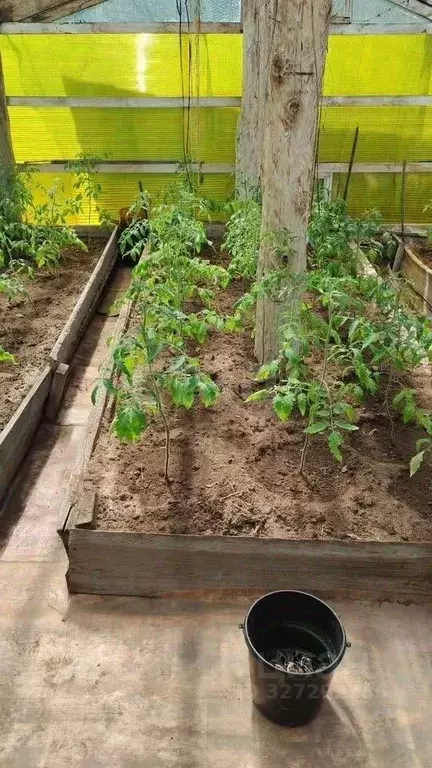 Дом в Бурятия, Заиграевский район, Талецкое с/пос, Росинка СНТ ул. ... - Фото 0