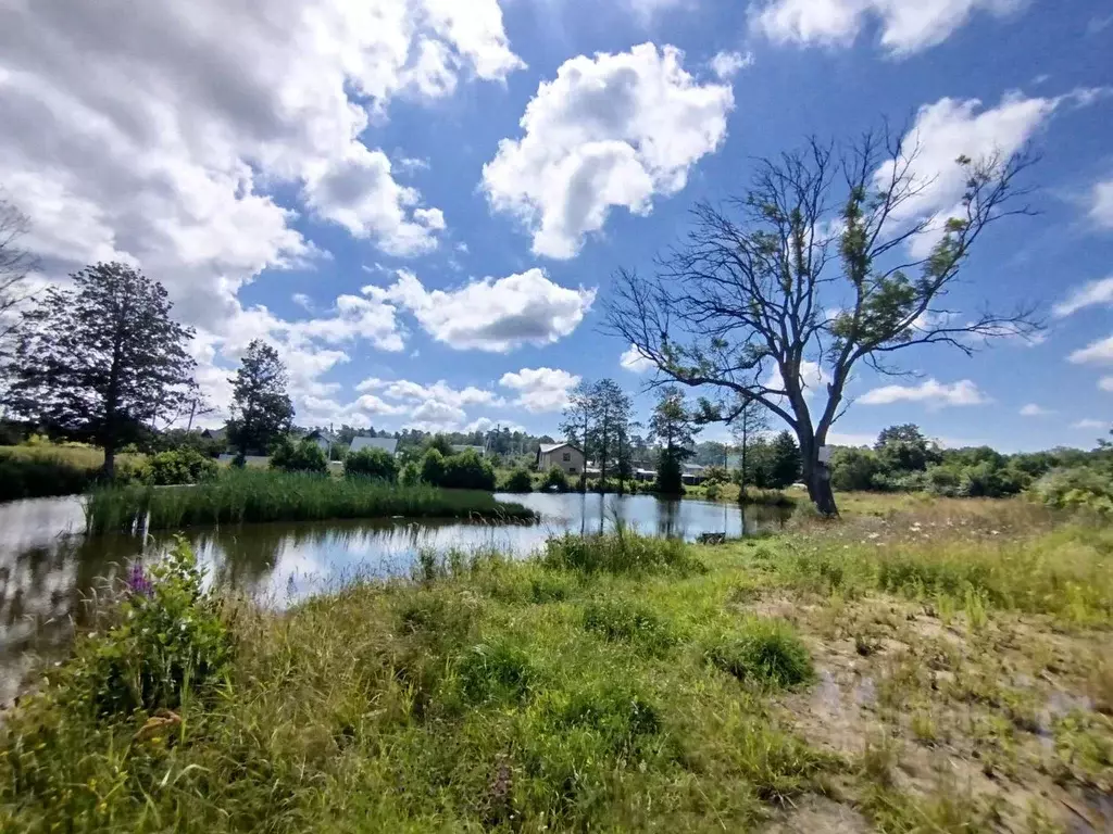 Участок в Калининградская область, Светлогорск Радуга СНТ, 6-я линия ... - Фото 2