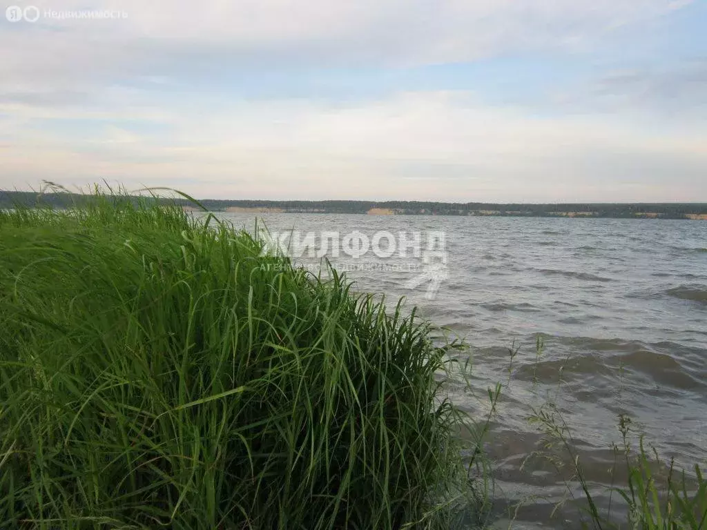 Участок в Искитимский район, Мичуринский сельсовет, СНТ Агролес (8.06 ... - Фото 1