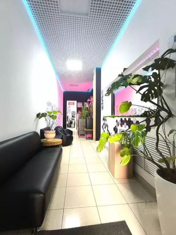 Офис в Курская область, Курск ул. Чехова, 11/52 (98 м) - Фото 1