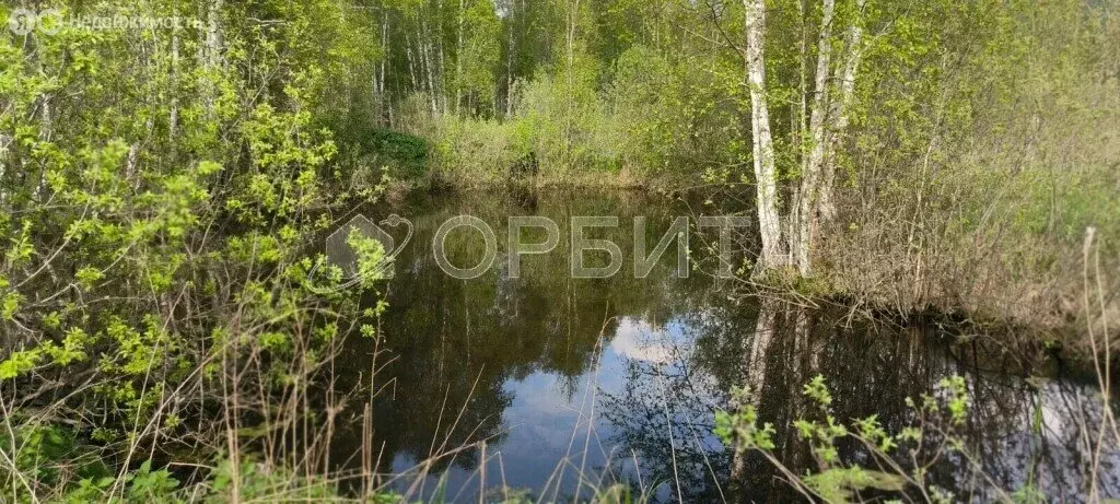 Участок в Тобольск, садоводческое товарищество Фортуна (20 м) - Фото 1
