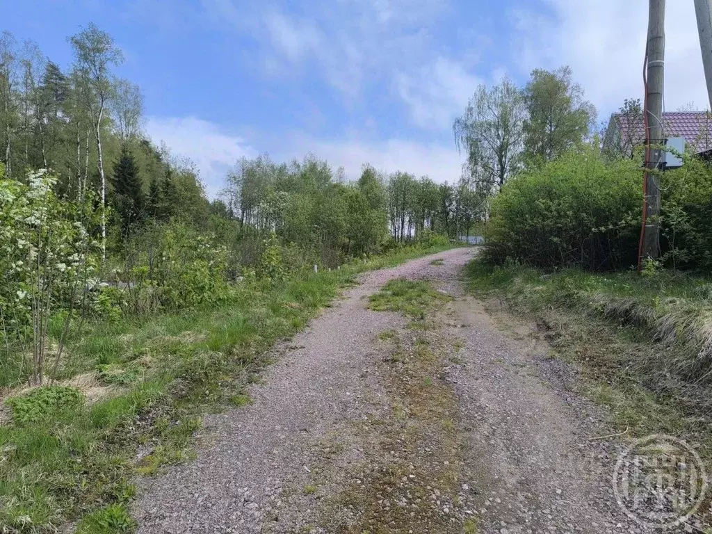 Участок в Ленинградская область, Выборгский район, Первомайское с/пос ... - Фото 2