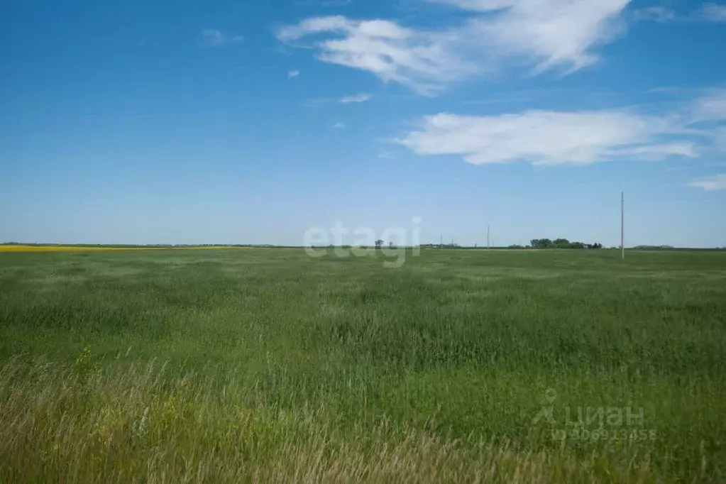 Участок в Псковская область, Печорский муниципальный округ, д. ... - Фото 1