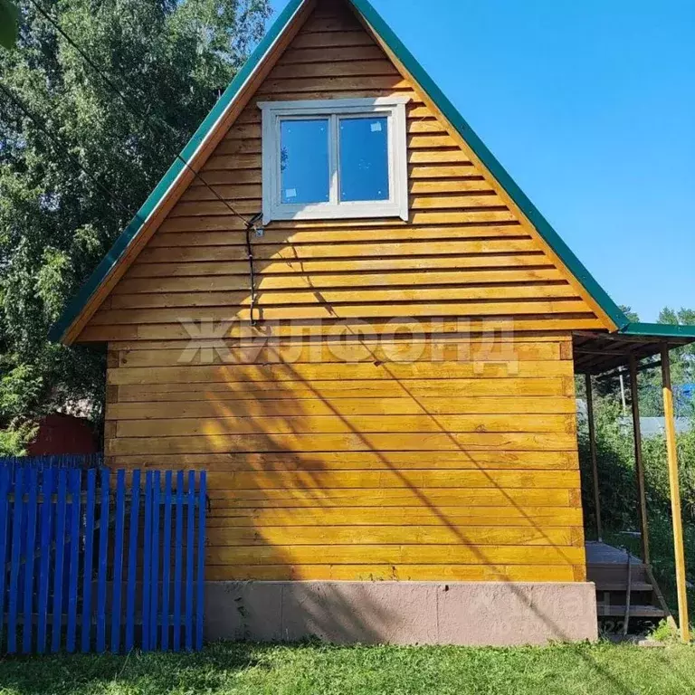 Дом в Новосибирская область, Колыванский район, Электрон СНТ ул. ... - Фото 1