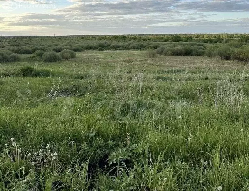 Участок в Тюменский район, деревня Насекина (10 м) - Фото 0