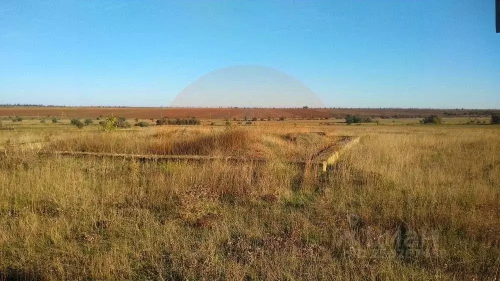 Участок в Крым, Сакский район, с. Фрунзе ул. Цветочная (8.0 сот.) - Фото 0