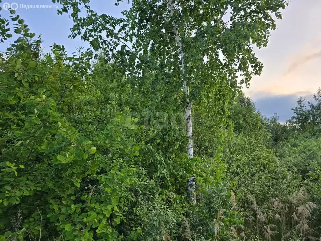 Участок в Тюмень, садовое товарищество Поле Чудес, Кукольный переулок ... - Фото 0