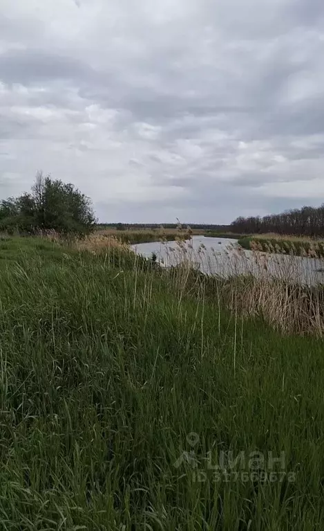 Участок в Ростовская область, Родионово-Несветайский район, ... - Фото 0