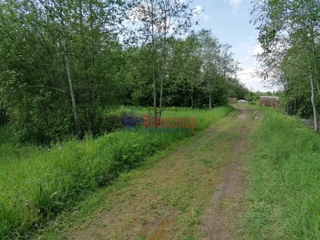 Участок в Ленинградская область, Волховский район, Колчановское с/пос, ... - Фото 2