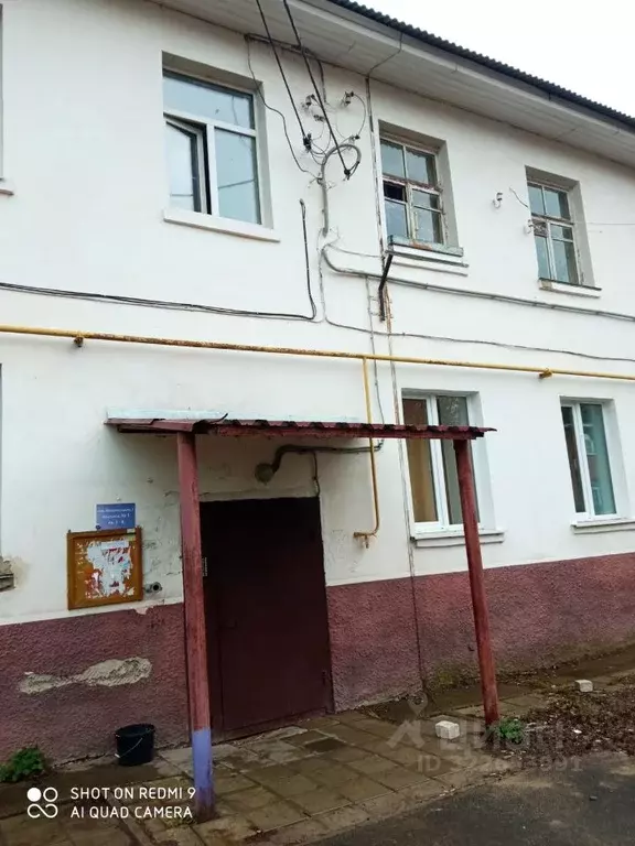 1-к кв. Нижегородская область, Богородск Вознесенский пер., 3 (27.4 м) - Фото 0