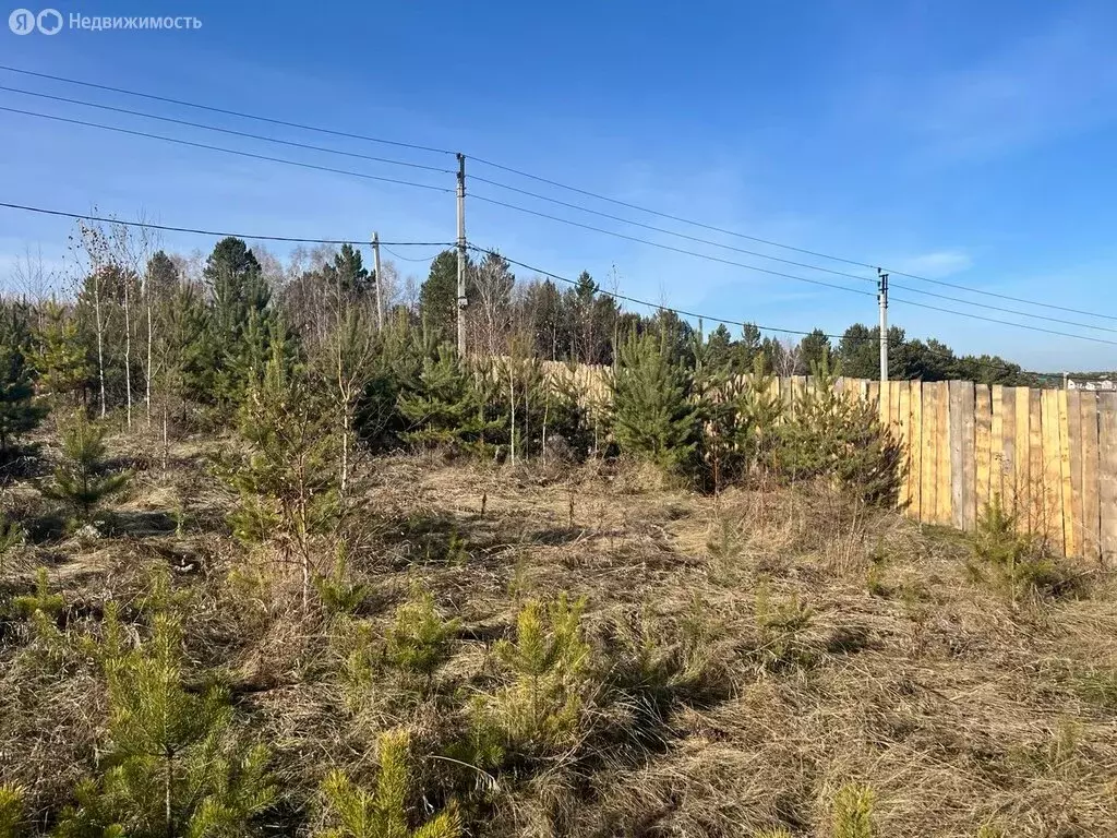 Участок в Максимовщина, ДНТ Перспектива, Лиственничная улица (11 м) - Фото 1