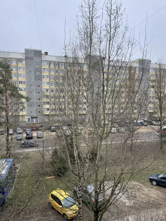 2-к кв. Ленинградская область, Сертолово Всеволожский район, ул. ... - Фото 1