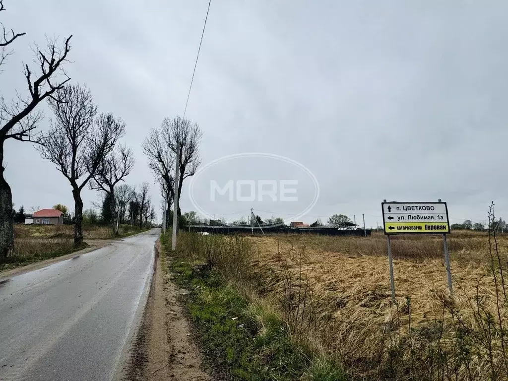 Участок в Калининградская область, Гурьевский муниципальный округ, ... - Фото 2