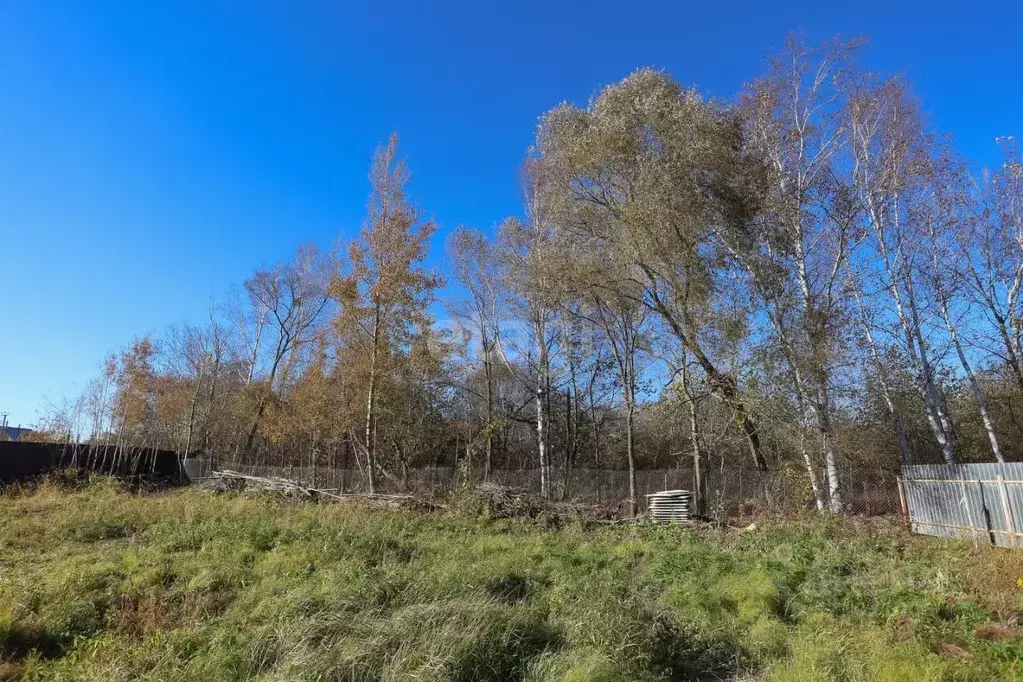 Участок в Хабаровский край, Хабаровский район, с. Сосновка пер. Дерсу ... - Фото 1