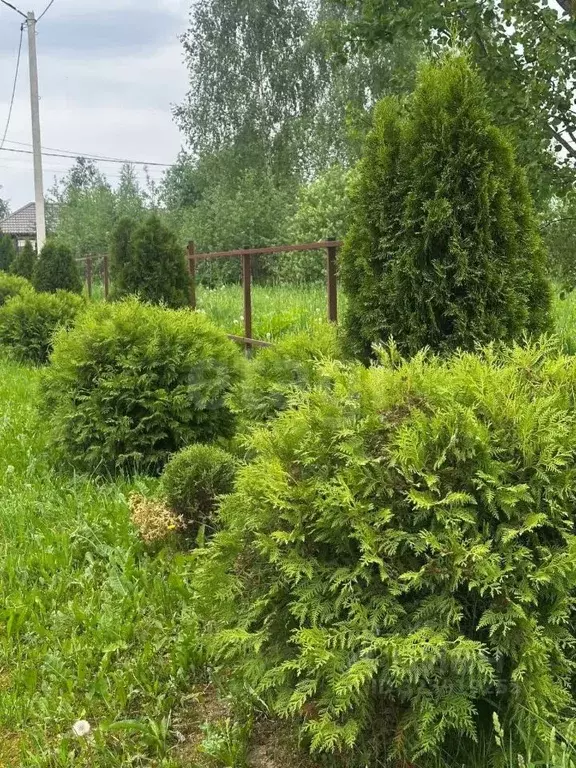 Участок в Москва Шишкино Парк кп, 104 (7.95 сот.) - Фото 1