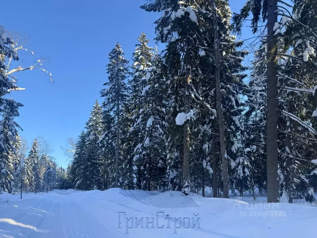 Участок в Московская область, Наро-Фоминский городской округ, д. ... - Фото 1