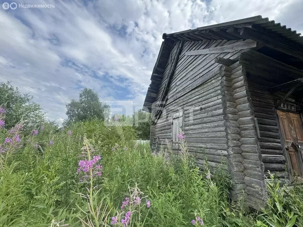 Дом в Костромская область, Красносельский муниципальный округ, ... - Фото 1