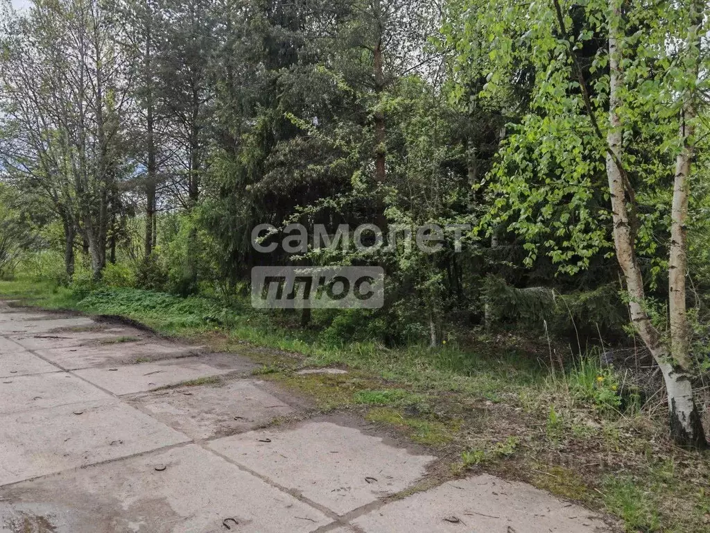 Участок в Ленинградская область, Никольское Тосненский район, Южная ... - Фото 0