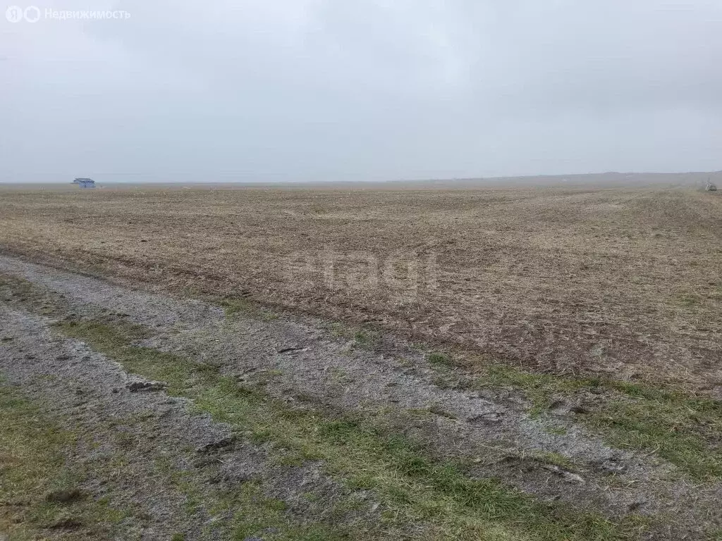 Участок в Каменское, Крымская улица (7.8 м) - Фото 1