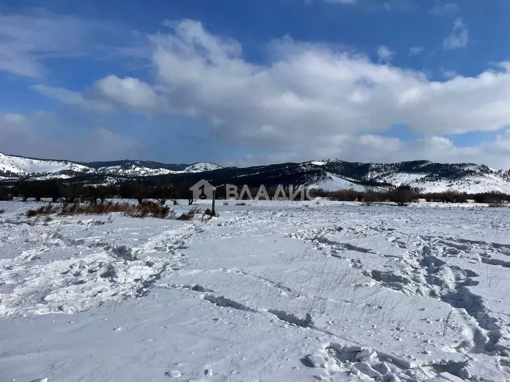 Участок в Бурятия, Иволгинский район, Сотниковское муниципальное ... - Фото 1