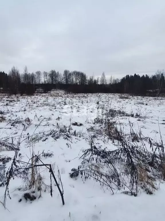 Участок 10 сот. (СНТ, ДНП) - Фото 0