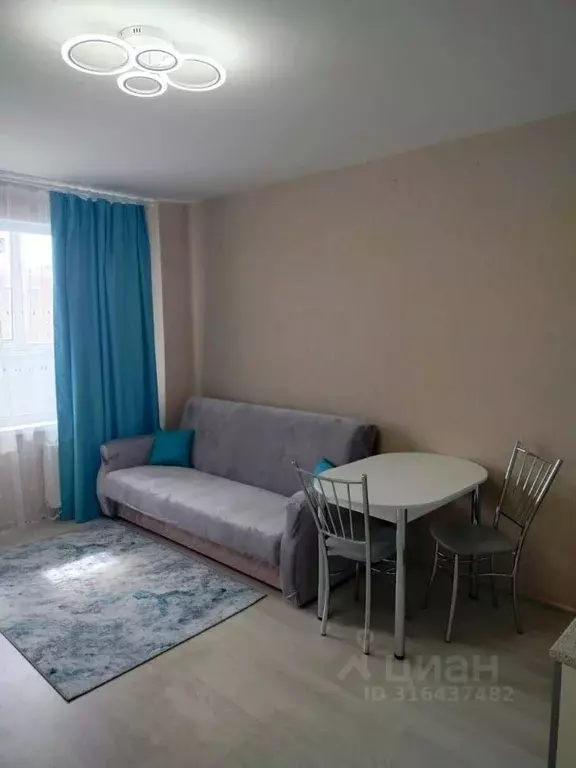 Студия Санкт-Петербург пос. Шушары, Московское ш., 250к2 (24.8 м) - Фото 1
