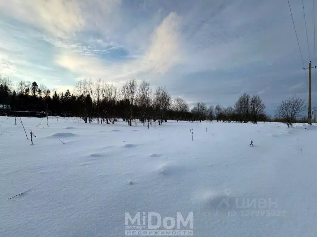 Участок в Ленинградская область, Ломоносовский район, Лопухинское ... - Фото 2