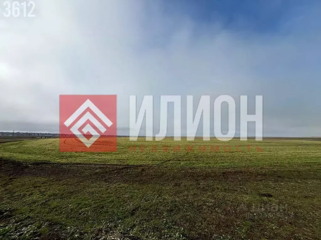 Участок в Крым, Феодосия муниципальный округ, с. Степное ул. Прудная, ... - Фото 2