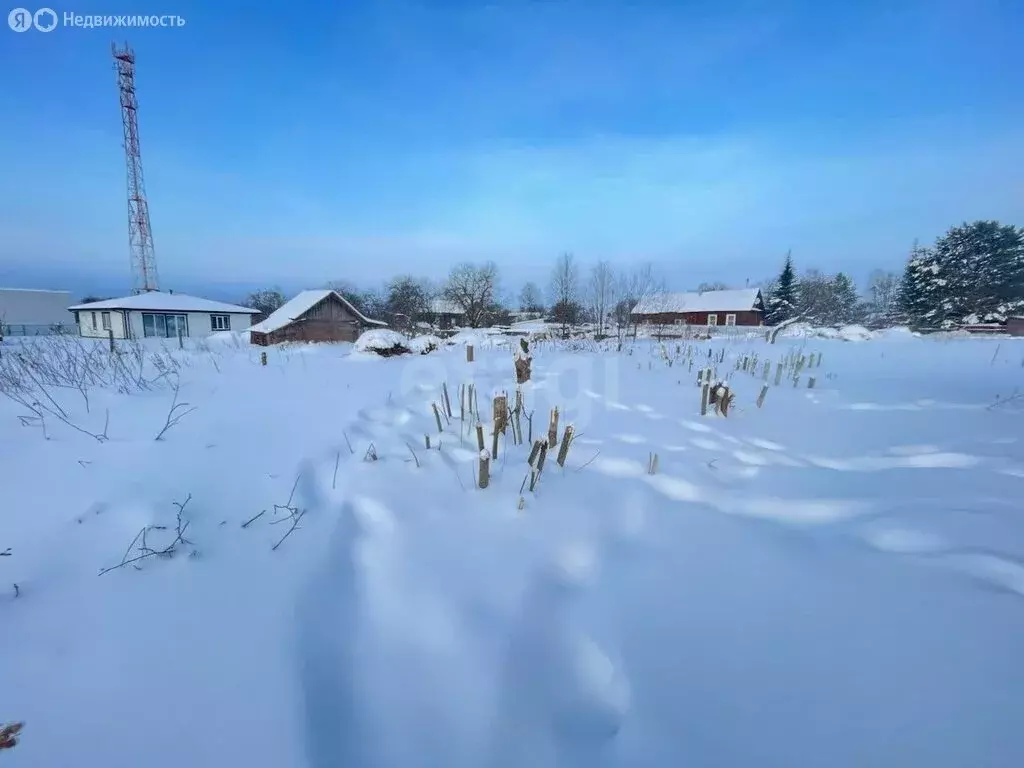Участок в Красносельский район, Боровиковское сельское поселение, ... - Фото 2