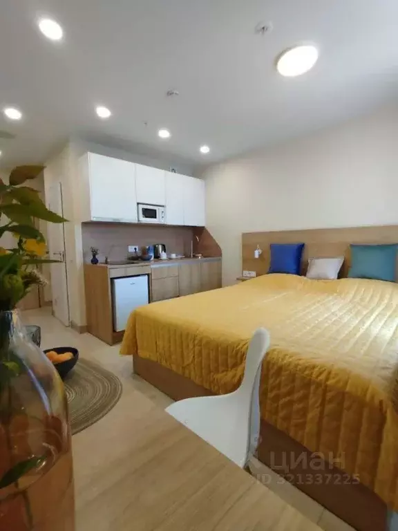 Студия Санкт-Петербург ул. Матроса Железняка, 2 (18.1 м) - Фото 1