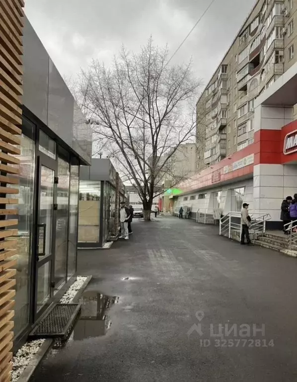 Торговая площадь в Оренбургская область, Оренбург ул. Терешковой, 251 ... - Фото 2