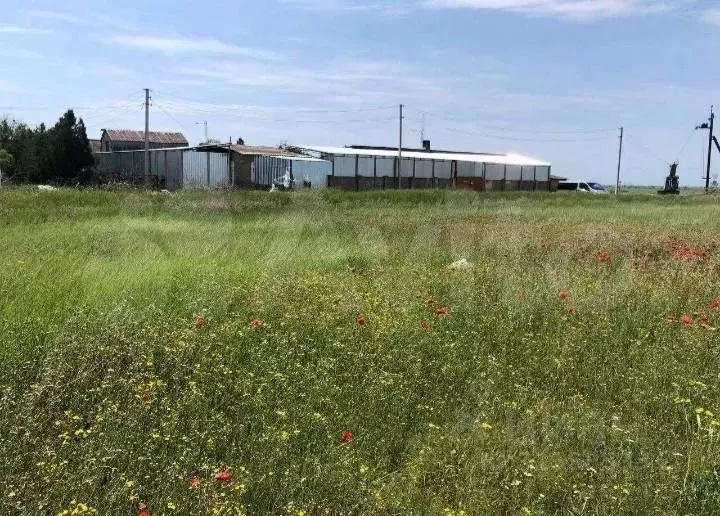 Участок в Крым, Сакский район, с. Суворовское ул. Черноморское Шоссе ... - Фото 0