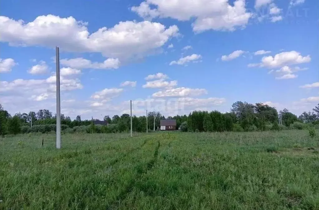 Участок в Новосибирская область, Колыванский район, Пять озер СНТ  ... - Фото 0
