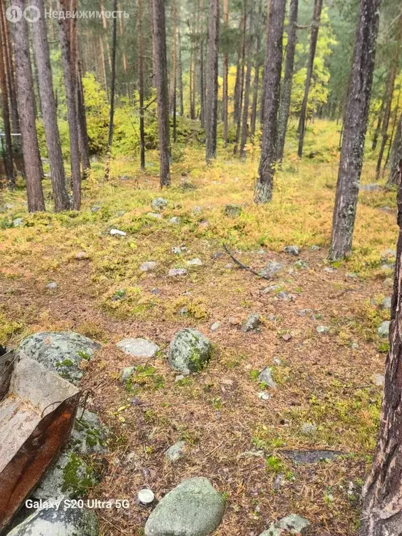 Участок в Терскол, Лесная улица (11 м) - Фото 1