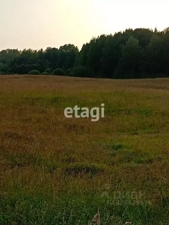 участок в ленинградская область, лужское городское поселение, д. . - Фото 0