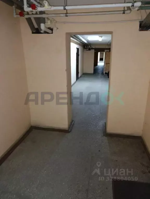 Офис в Татарстан, Казань ул. Волкова, 55 (40 м) - Фото 2