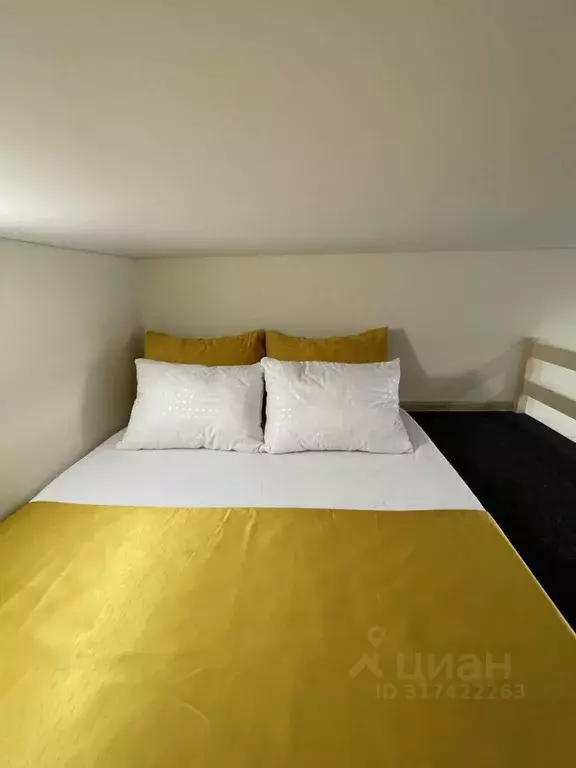 1-к кв. Санкт-Петербург Кронверкский просп., 75 (15.0 м) - Фото 0
