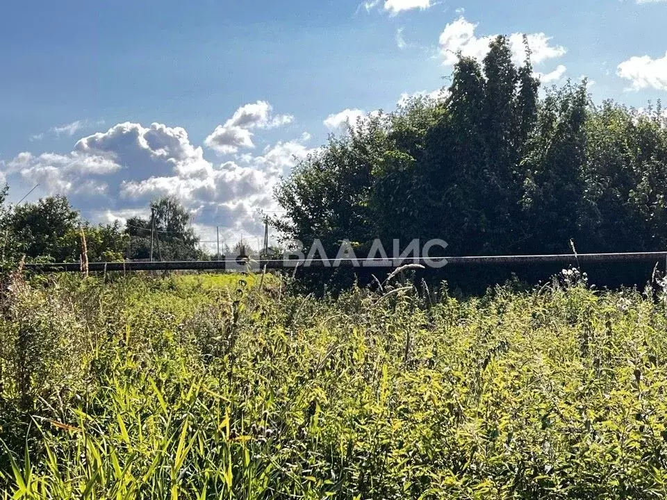 Участок в Владимирская область, Суздальский район, Павловское ... - Фото 0
