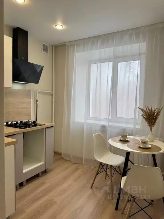 1-к кв. Нижегородская область, Бор Октябрьская ул., 88 (30.4 м) - Фото 2