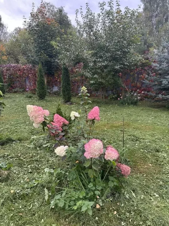 Участок в Московская область, Можайский муниципальный округ, д. ... - Фото 2