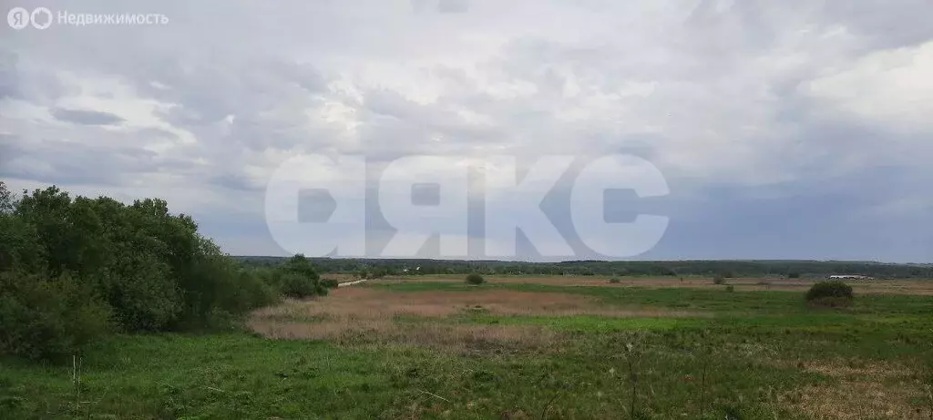 Участок в Дубенский район, сельское поселение Протасовское, село Новое ... - Фото 0