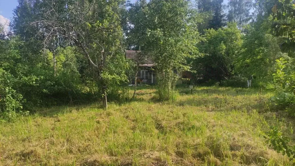 Дача, 30 м - Фото 0