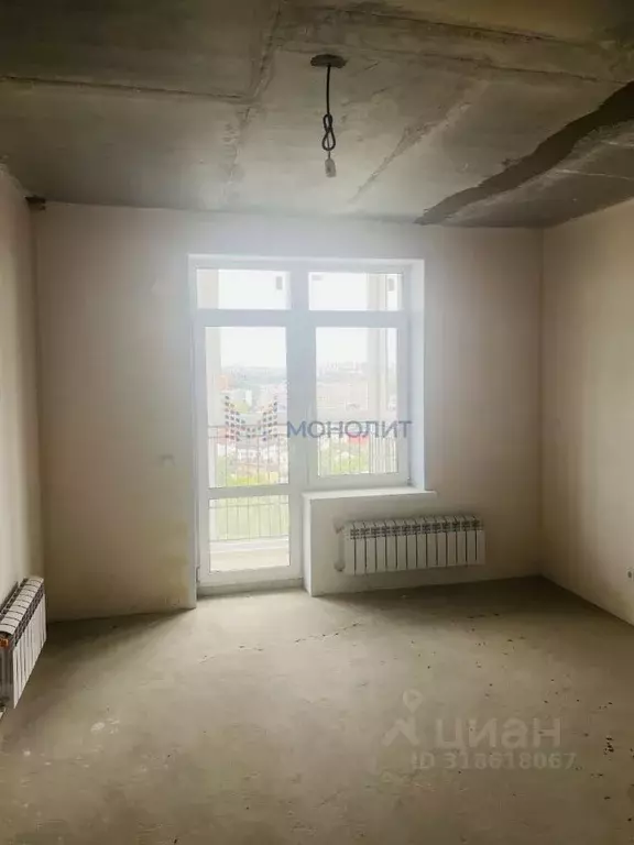 1-к кв. Нижегородская область, Нижний Новгород д. Утечино, ул. ... - Фото 1