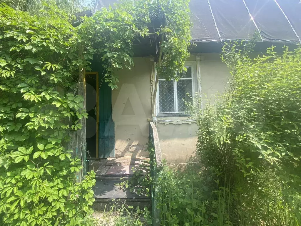 Дача 60 м на участке 9,2 сот. - Фото 1