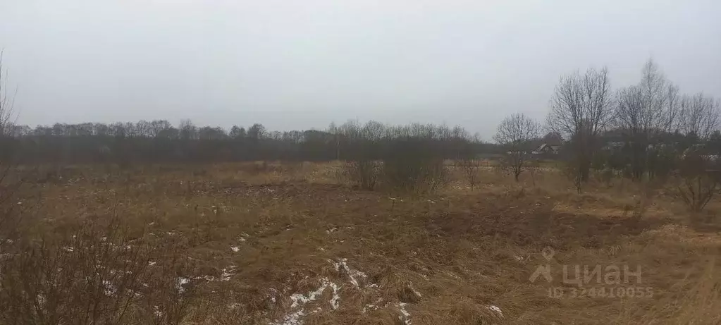 Участок в Московская область, Можайский муниципальный округ, д. Новая  ... - Фото 1