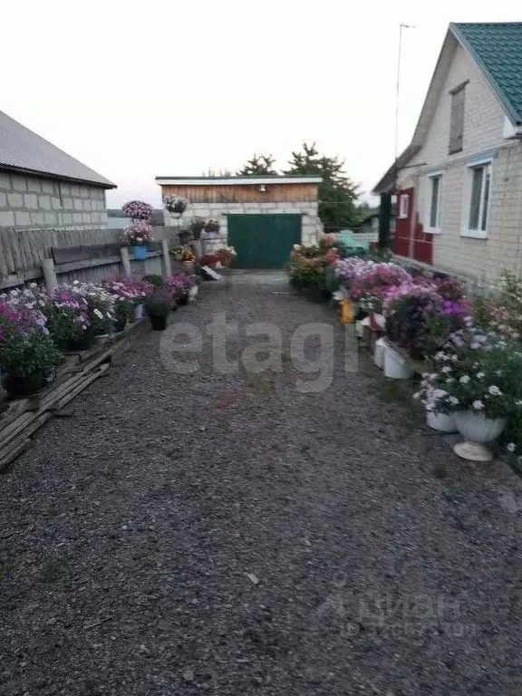 Дом в Белгородская область, Ивнянский район, с. Верхопенье ул. ... - Фото 0