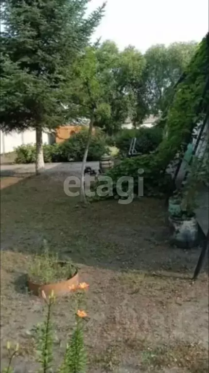 Дом в Амурская область, Райчихинск Тенистая ул., 1 (150 м) - Фото 2